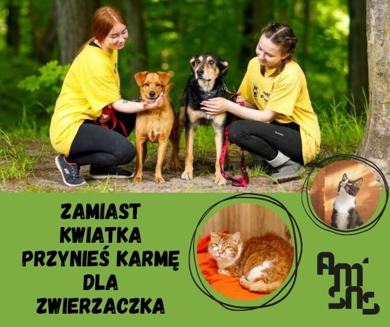 „Zamiast kwiatka przynieś karmę dla zwierzaczka”