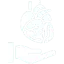 Favicon strony e-przeszcze.pl