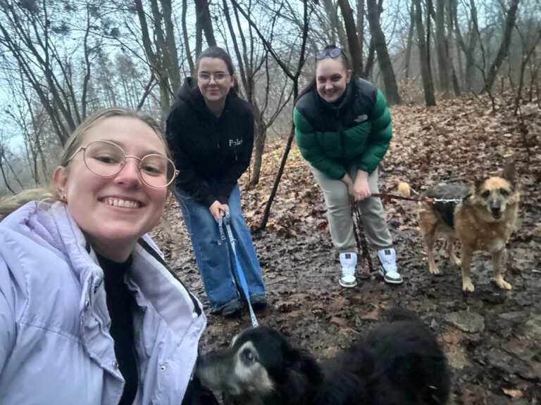 „Psi dyżur” – inicjatywa IFMSA-Poland Oddział Kandydat Elbląg